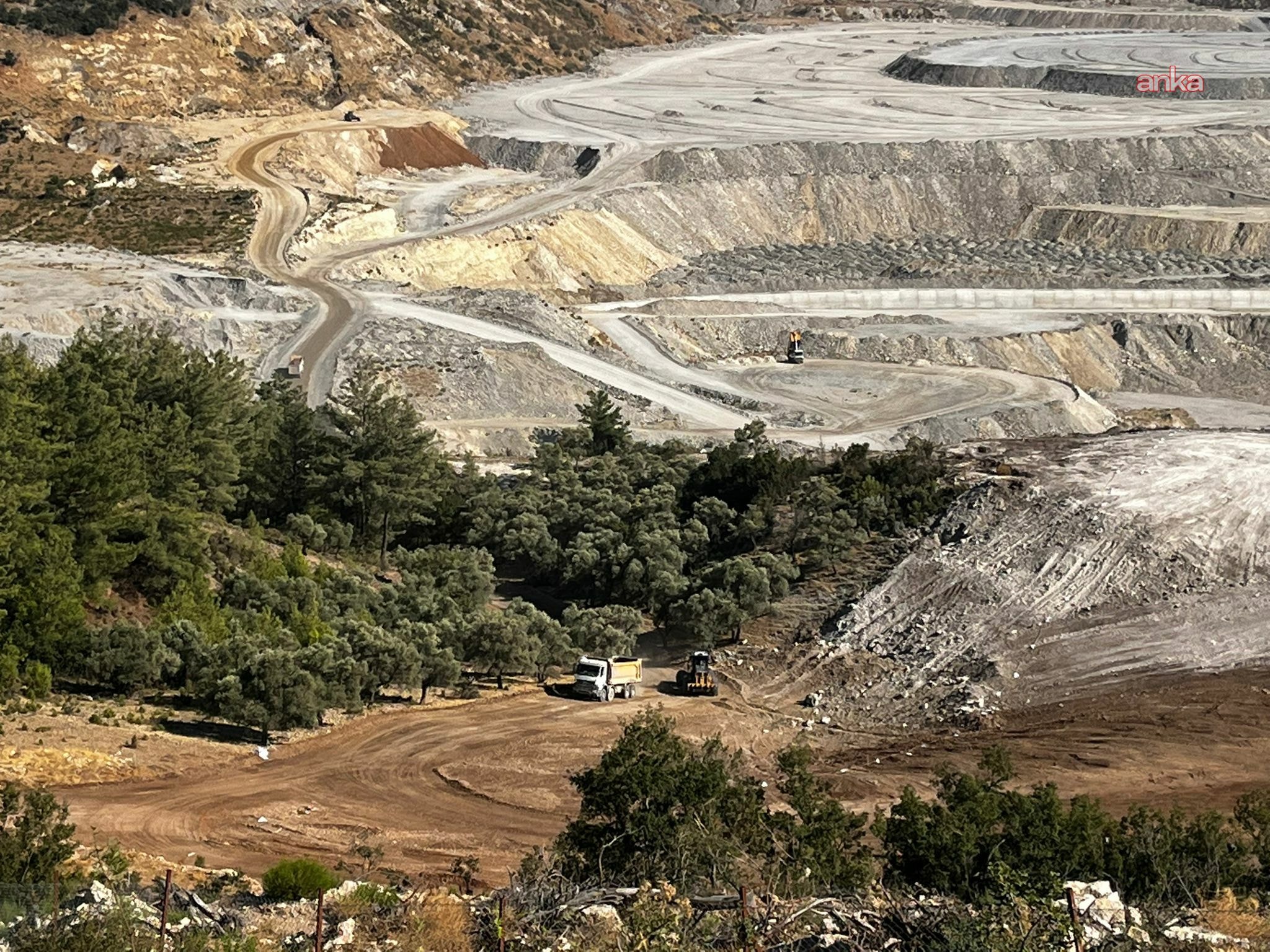 Barolardan Akbelen Direnişine destek: "Zeytinlikler, su kaynakları ve yaşam alanları yok ediliyor" 2 Barolardan Akbelen Direnişine destek: "Zeytinlikler, su kaynakları ve yaşam alanları yok ediliyor"