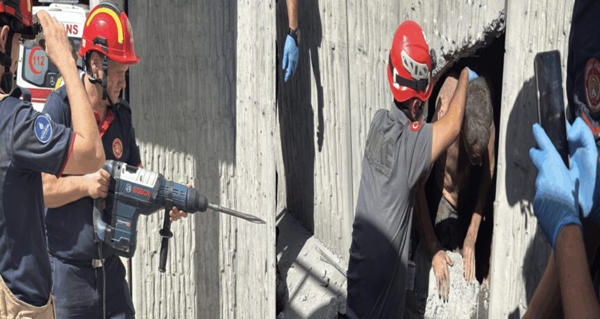 Beyoğlu’ndaki dar tünele girip mahsur kaldı