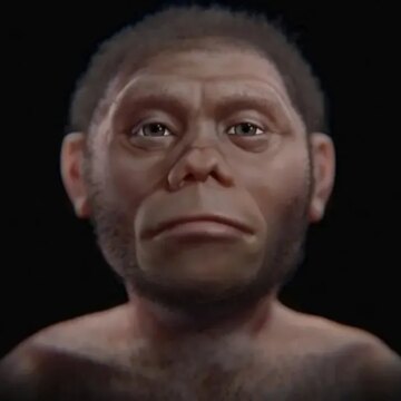 bilim-insanlari-hobbitlerin-neden-bu-kadar-kucuk-oldugunu-acikladi-ZlO4DU7Y.jpg Bilim insanları ‘Hobbit’lerin neden bu kadar küçük olduğunu açıkladı