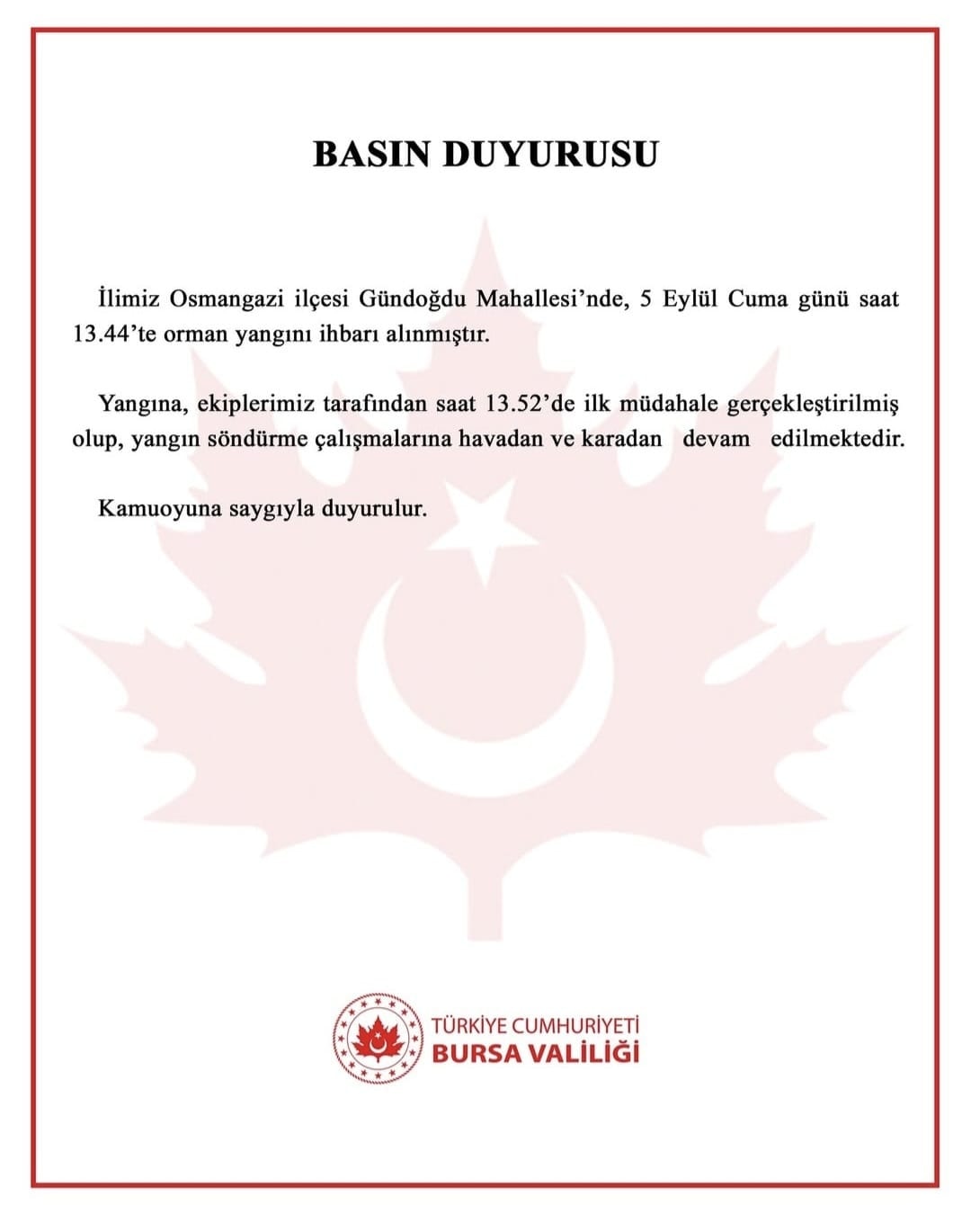 Bursa'da ormanlık alanda alevler yükseldi