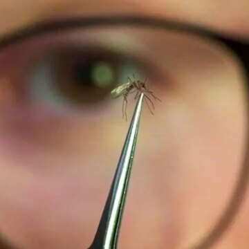 Çin’de yayılmaya başlayan salgın dünyayı endişelendiriyor