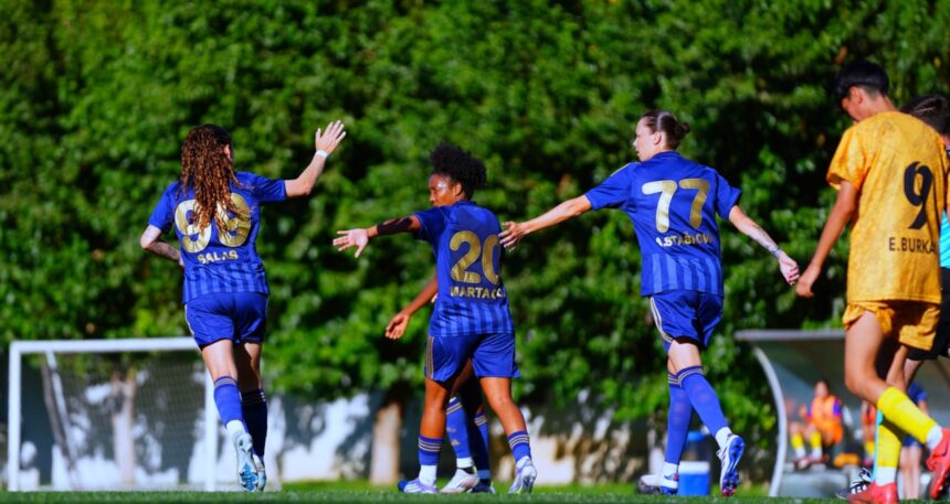 Fenerbahçe ArsaVev deplasmanda gol yağdırdı