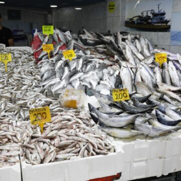 hamsi-istavrit-barbun-ve-mezgit-bollugu-basladi-tezgahlarda-fiyatlar-100-liradan-basliyor-nQxEWEmP.jpg Hamsi, istavrit, barbun ve mezgit bolluğu başladı: Tezgahlarda fiyatlar 100 liradan başlıyor