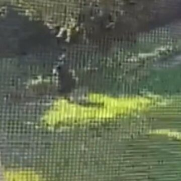 istanbulun-gobeginde-yangin-cikarmaya-calisirken-yakalandi-GZDpwLWl.jpg İstanbul’un göbeğinde yangın çıkarmaya çalışırken yakalandı