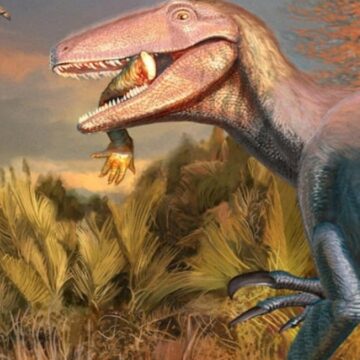 jurassic-park-filmlerinden-firlamis-gibi-yeni-tur-agzindaki-son-yemegi-ile-bulundu-Qvnlj4sW.jpg ‘Jurassic Park’ filmlerinden fırlamış gibi… Yeni tür ağzındaki son yemeği ile bulundu