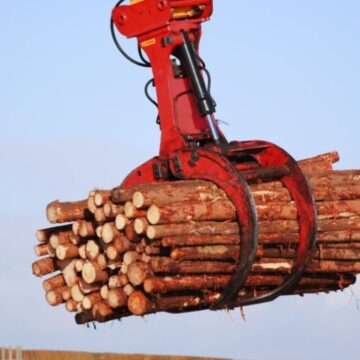 Kağıt üretmek için yeni yöntem: Artık ağaç kesilmeyecek