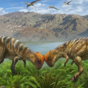 kaya-parcasindan-115-milyon-yillik-tarih-cikti-bilim-dunyasi-saskin-B3UxdAAV.jpg Kaya parçasından 115 milyon yıllık tarih çıktı: Bilim dünyası şaşkın