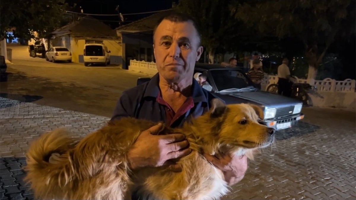Mama verdiği köpek hayatını kurtardı