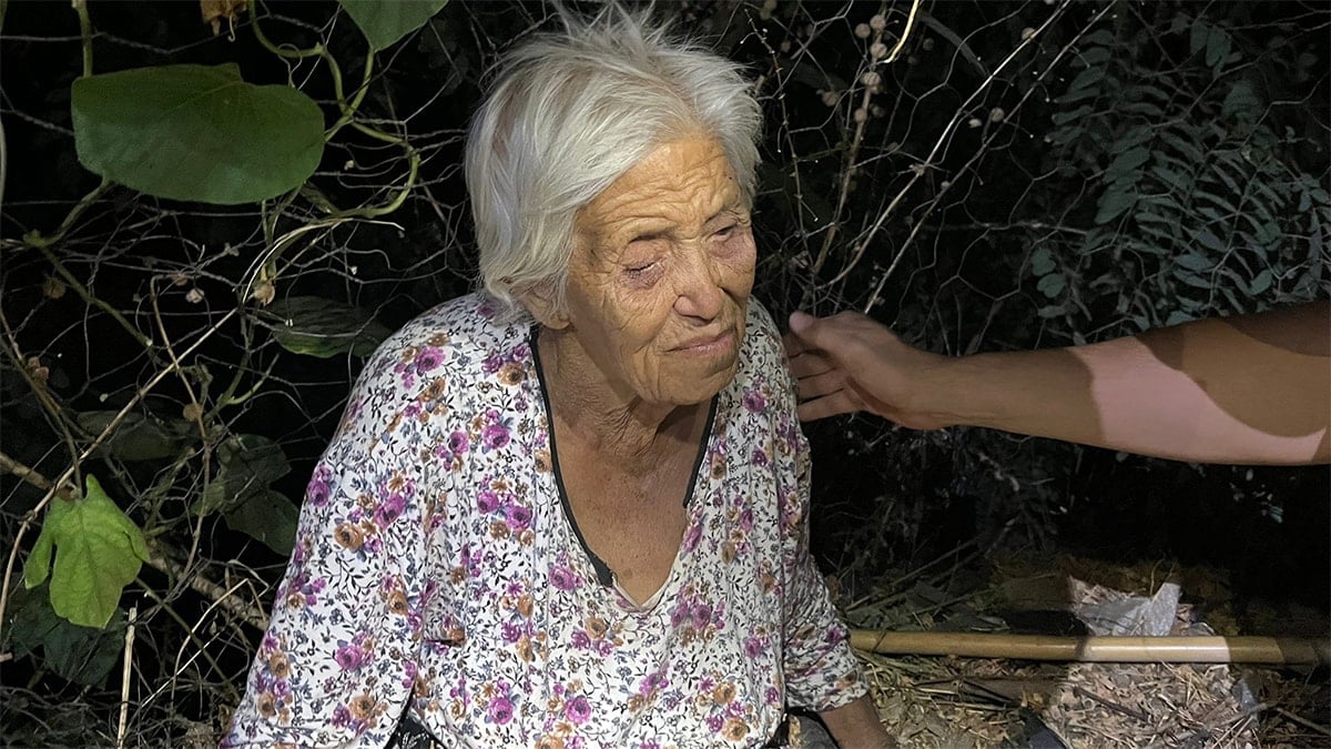 Mama verdiği köpek hayatını kurtardı