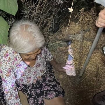 Mama verdiği köpek hayatını kurtardı