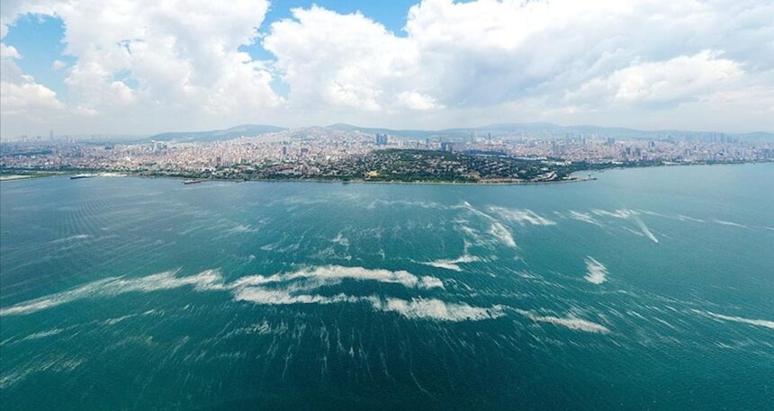 Marmara Denizi alarm veriyor: 1,6 milyon kişi yüksek risk altında!