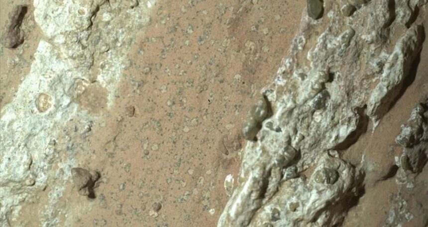 Şimdiye kadar bulunan en net yaşam belirtisi! NASA heyecanla duyurdu