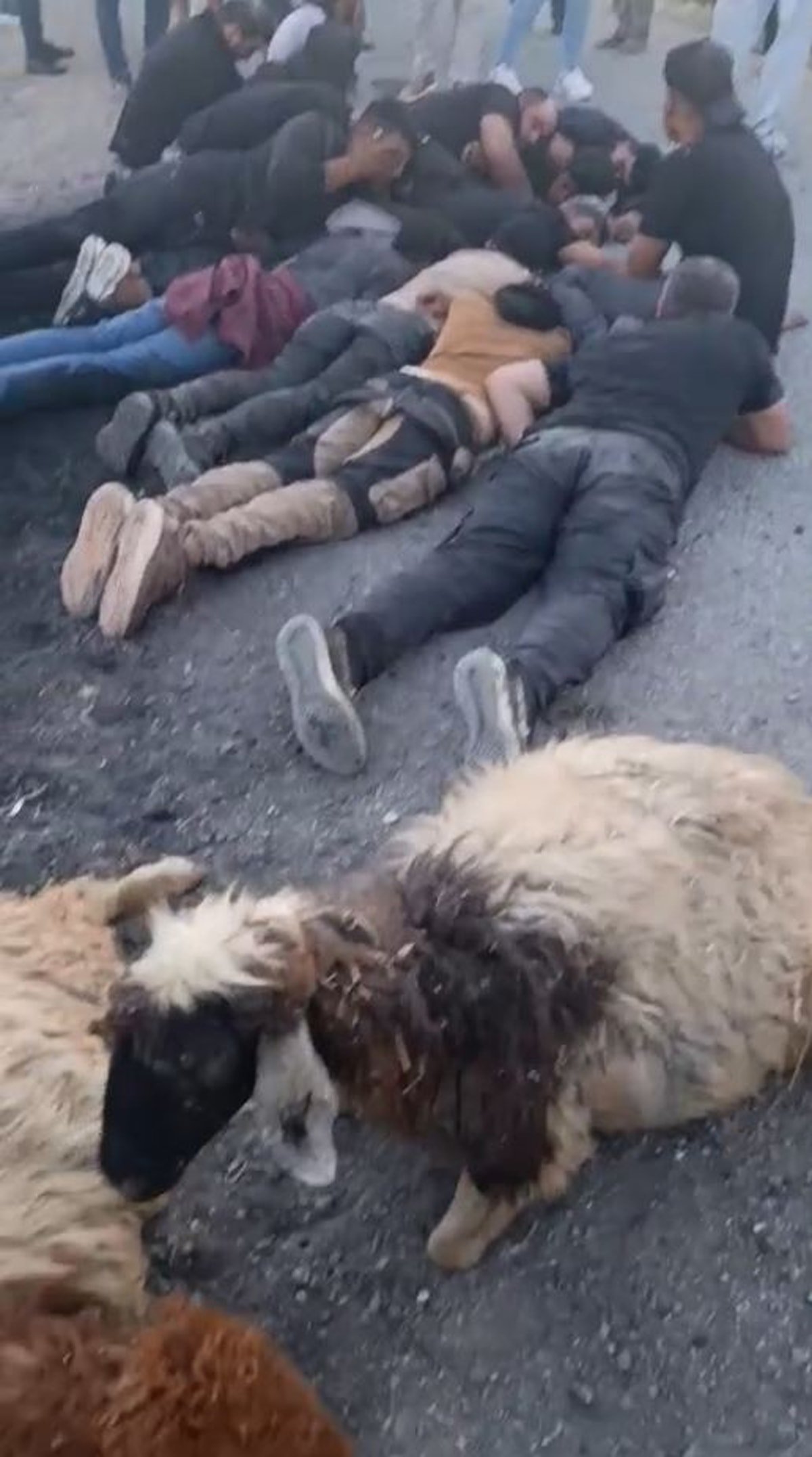 Su kanalına düşen araçtan çıktılar, böyle gözaltına alındılar
