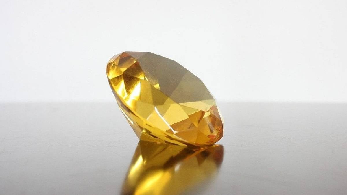 Tatil yapan aile servet sahibi oldu: Parkta gezerken buldular