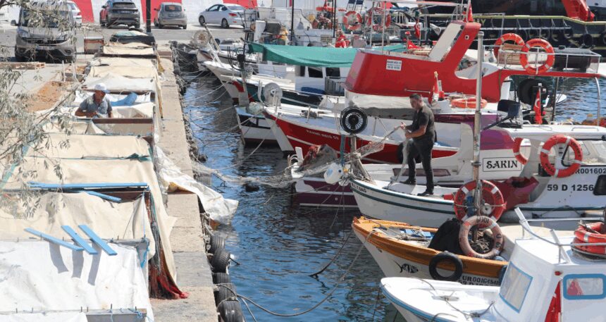Tekirdağlı balıkçılar limana istavrit ve kolyozla döndü