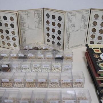 Türkiye’de 4 bin 500 türden 122 bin tohum gen bankalarında korunuyor