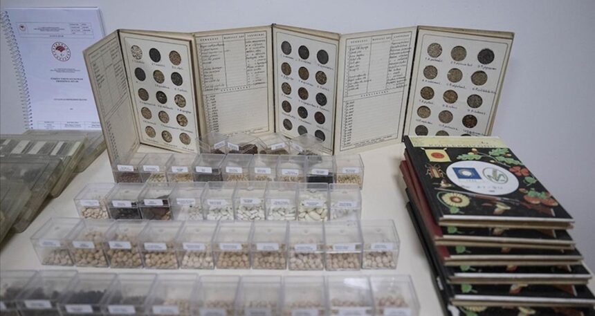 Türkiye’de 4 bin 500 türden 122 bin tohum gen bankalarında korunuyor