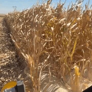 Üreticiden Erdoğan’a: Biz bu ülkenin üvey evladı değiliz