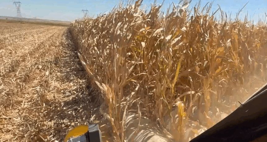 Üreticiden Erdoğan’a: Biz bu ülkenin üvey evladı değiliz