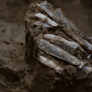 30-bin-yillik-alet-takimi-bulundu-GiN8eUyS.jpg 30 bin yıllık alet takımı bulundu