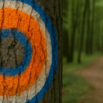 agaclarin-uzerinde-mavi-turuncu-beyaz-renk-isaret-varsa-sakin-dokunmayin-yF2w47ik.jpg Ağaçların üzerinde mavi turuncu beyaz renk işaret varsa sakın dokunmayın