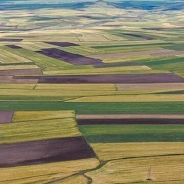 bu-ulke-turk-vatandaslarina-ucretsiz-arazi-veriyor-4g8GhIaA.jpg Bu ülke Türk vatandaşlarına ücretsiz arazi veriyor