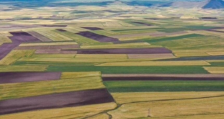 Bu ülke Türk vatandaşlarına ücretsiz arazi veriyor