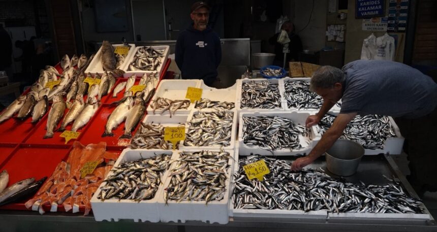Denizden tezgahlara taştı, kilosu 100 liradan kapış kapış satıldı