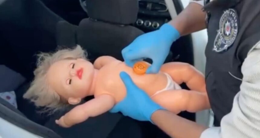 Erzincan’da oyuncak bebekten bonzai çıktı