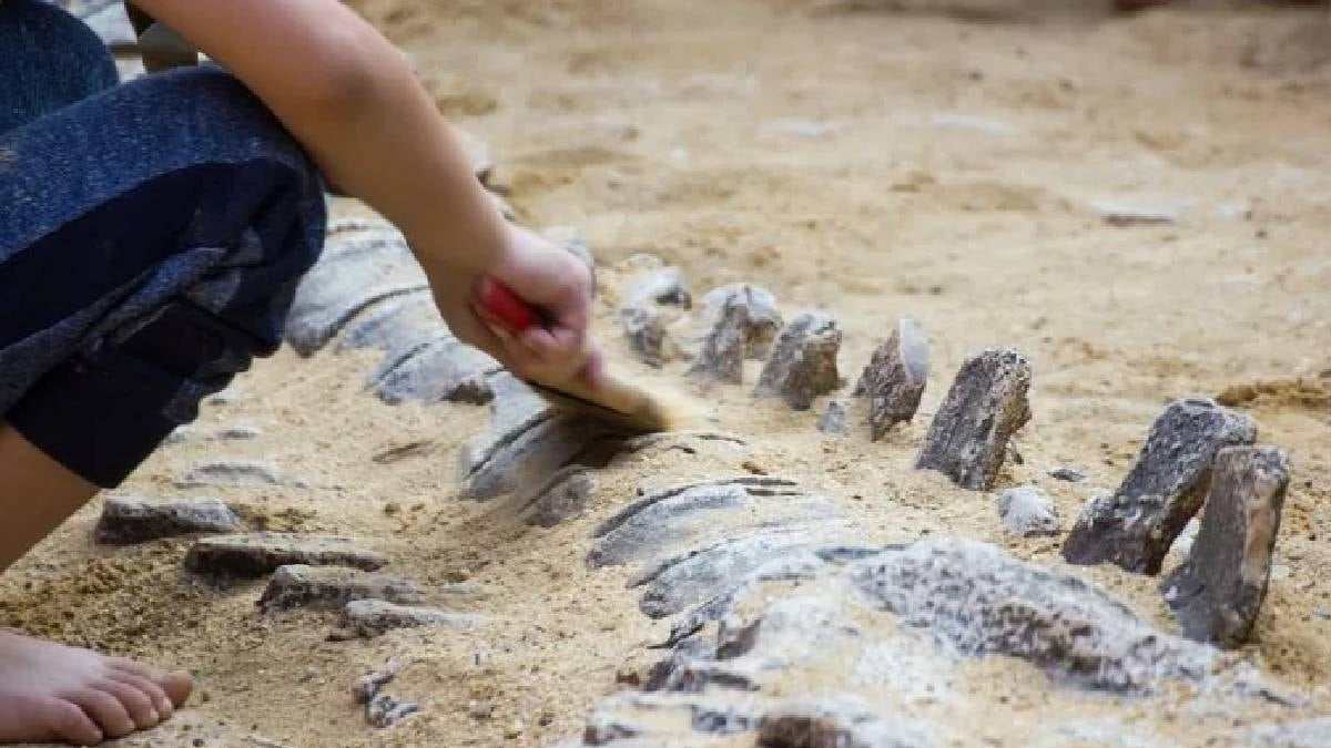 Evinin bahçesinden 11 bin yıllık hazine çıktı