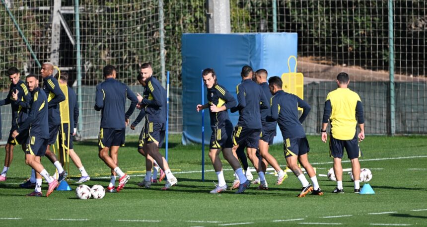 Fenerbahçe, Nice maçına hazır