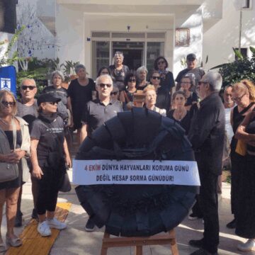 Hayvanların toplanmasını protesto ettiler belediyeye siyah çelenk bıraktılar