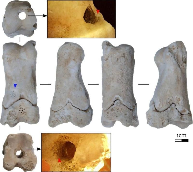 Mezar bekçilerinin 3 bin 300 yıllık alarmı bulundu