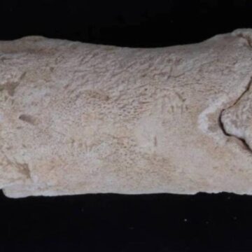 mezar-bekcilerinin-3-bin-300-yillik-alarmi-bulundu-BJ9RvBXA.jpg Mezar bekçilerinin 3 bin 300 yıllık alarmı bulundu