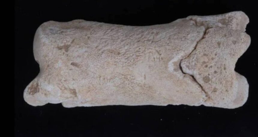 Mezar bekçilerinin 3 bin 300 yıllık alarmı bulundu
