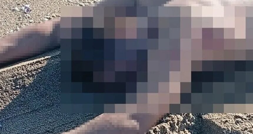 Sakarya’da vatandaşlar fark edip gördü! Genç erkeğin cansız bedeni bulundu