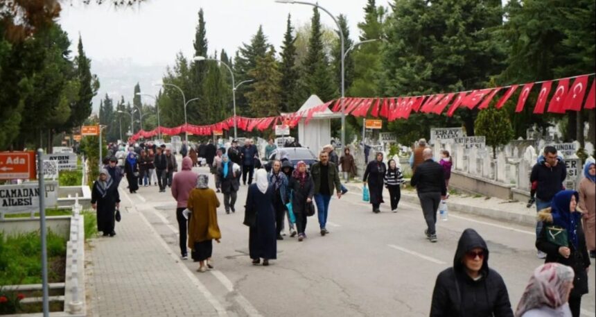 Samsun’da mezarlıkların ağaçlarını satışa çıkardılar
