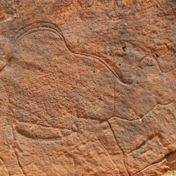 suudi-arabistanda-bulundu-bilim-dunyasini-sasirtan-kesif-ehJ1sWJu.jpg Suudi Arabistan’da bulundu: Bilim dünyasını şaşırtan keşif