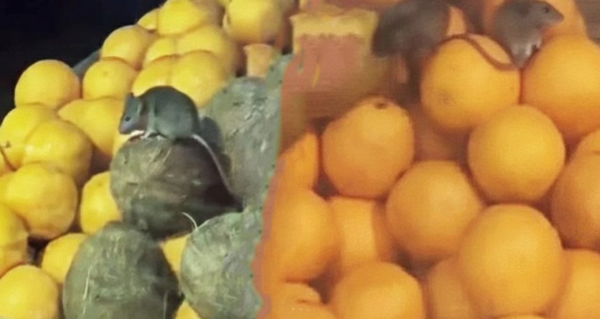 bir-anda-ulkeyi-bastilar-onlarca-restoran-kapatildi-h5yDFhe7.jpg Bir anda ülkeyi bastılar: Onlarca restoran kapatıldı