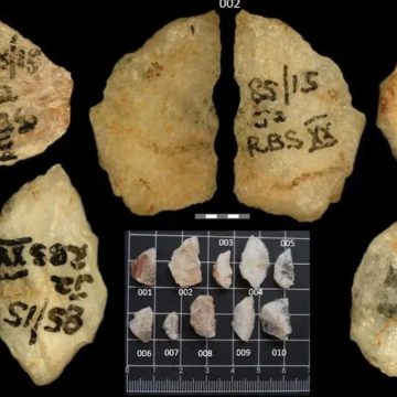 Dünyanın en eski zehirli silahı keşfedildi: 60 bin yaşında