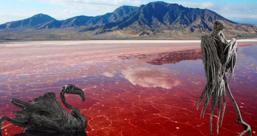 Dünyanın en tehlikeli yeri: Temas eden taşa dönüşüyor