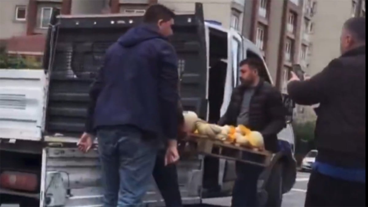 Kabak satan teyzenin tezgahına el koydular