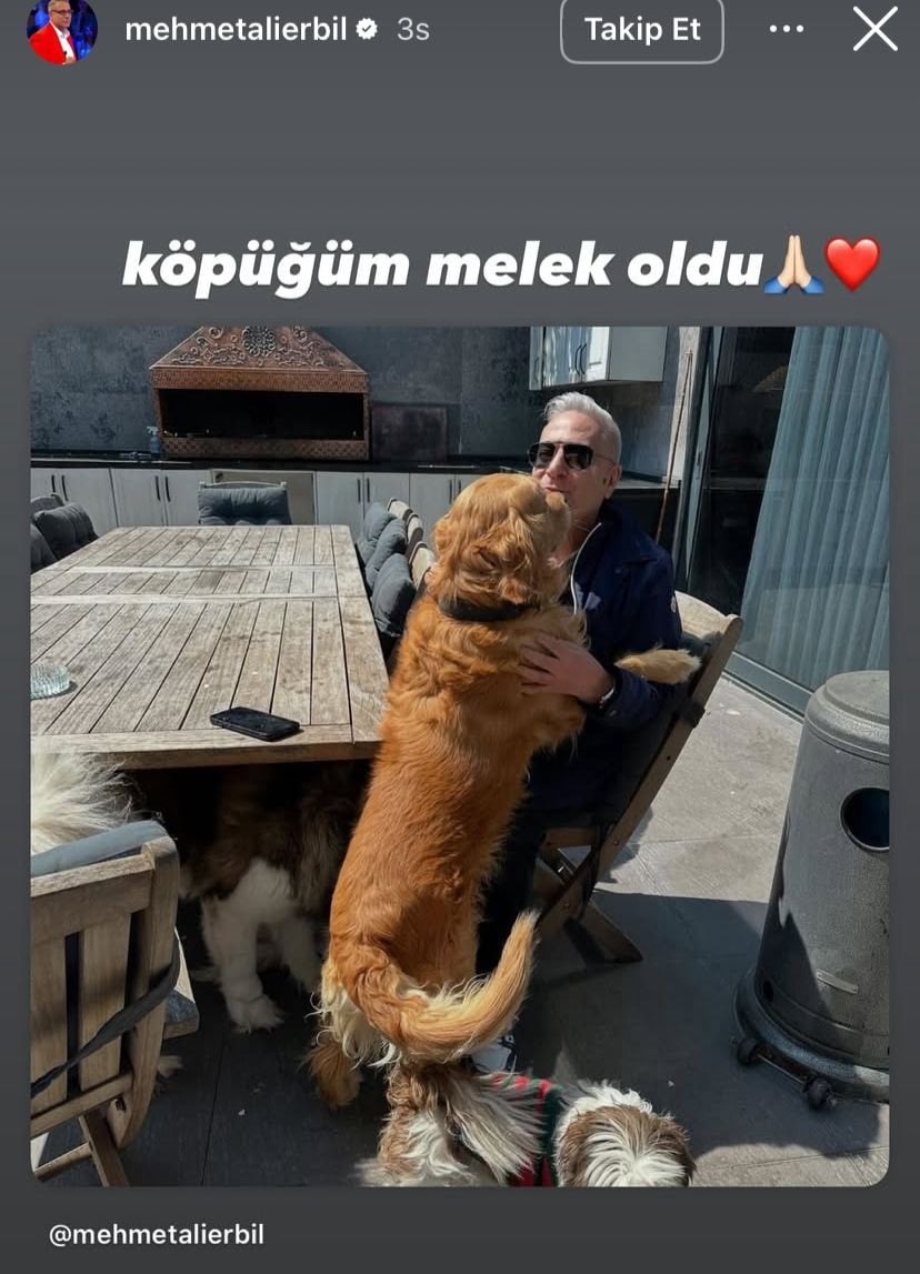 'Ölecek diye her gün ağlıyorum' demişti… Mehmet Ali Erbil, 'Köpük'ü kaybetti 2 'Ölecek diye her gün ağlıyorum' demişti… Mehmet Ali Erbil, 'Köpük'ü kaybetti