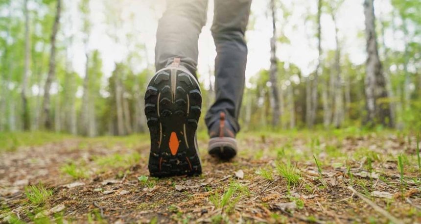 saatte-48-km-hiz-omru-5-yil-uzatiyor-ve-her-gun-yaptigimiz-tek-hareket-Ok2tnAql.jpg Saatte 4.8 KM hız, ömrü 5 yıl uzatıyor ve her gün yaptığımız tek hareket yetiyor