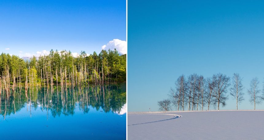 turistleri-durdurmak-icin-agaclari-kestiler-hala-akin-akin-geliyorlar-yx2XwywU.jpg Turistleri durdurmak için ağaçları kestiler! Hala akın akın geliyorlar